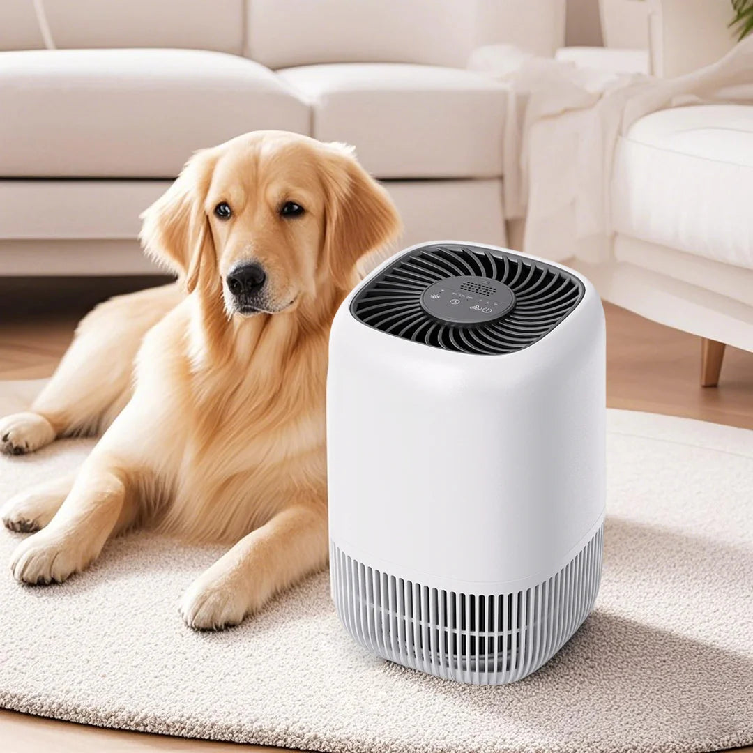 Air Purifier Equipment
